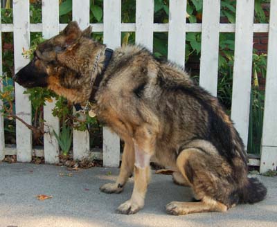 Chance von Bossinger sitting 3